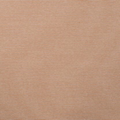 21867-3 camel.jpg