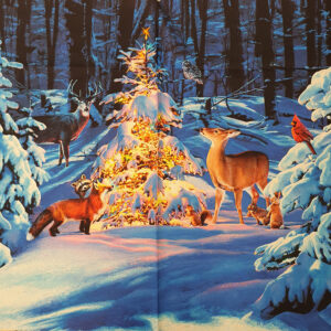 21812 Jeans leicht.j