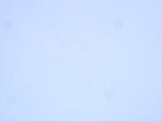 8051 g.jpg