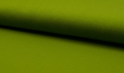 1681-7 olive.jpg
