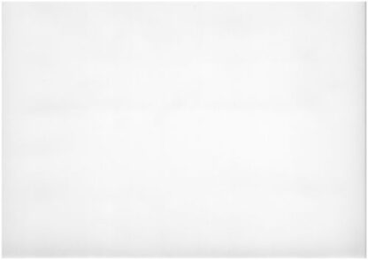 1955-4 gross weiss.j