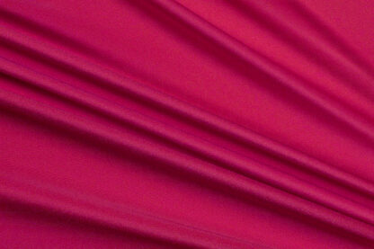 12 fuchsia.jpg