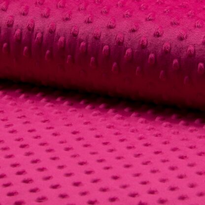17 fuchsia.jpg