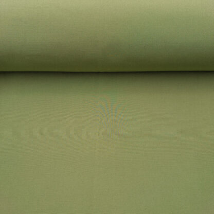 27556-3 olive.jpg
