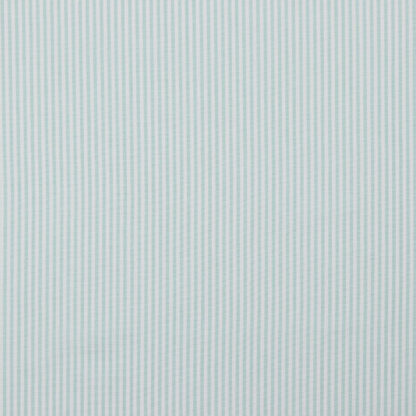 039 mint.jpg