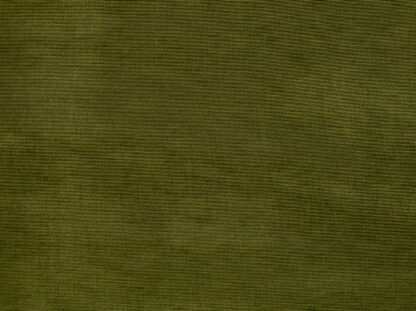 1870-22 g.jpg