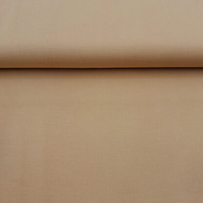 27574-4 camel.jpg