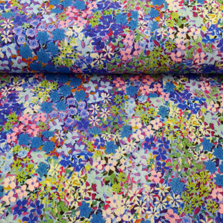 25988 Blusen, Bordür