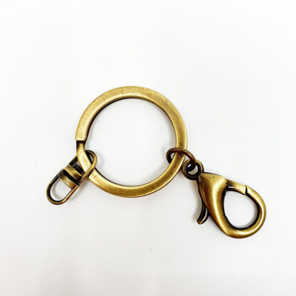 Karabiner mit Schlüs