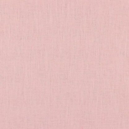 17 rosa.jpg