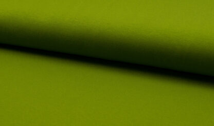 1683-7 olive.jpg