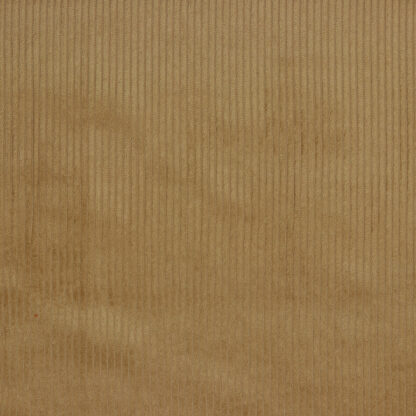 004 camel.jpg