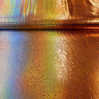 1 schwarz-silber-sch