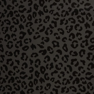 17115 Sommersweat.jp