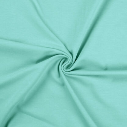 522 fresh mint.jpg