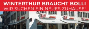 Wir suchen ein neues Zuhause - Winterthur braucht Bolli