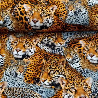 17115 Sommersweat.jp