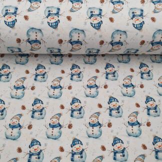 17115 Sommersweat.jp