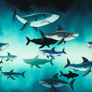 17551 Sommer Sweat.j