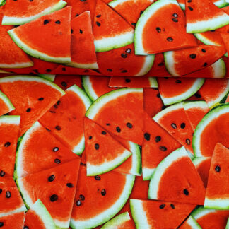 29171 Wassermelonen.