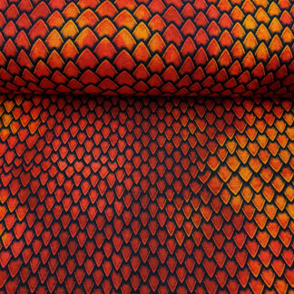 29171 Wassermelonen.