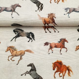 17115 Sommersweat.jp